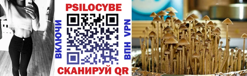 Галлюциногенные грибы Psilocybine cubensis  Купить закладки  Сысерть 